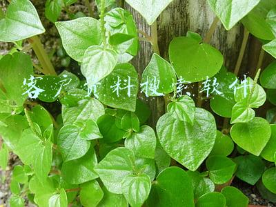 找客户的软件有哪些(什么软件可以找客户资源？)