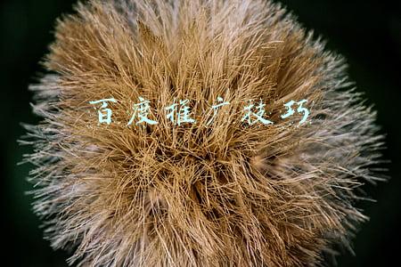 百度推广技巧