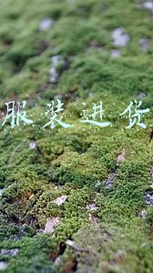 广州服装进货指南