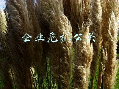 企业危机公关