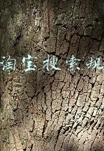 新淘宝搜索规则