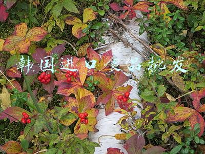 韩国食品进口商(上海山姆会员店被罚1万元！所售某西班牙品牌蔬菜产品未标明生产日期及保质期)