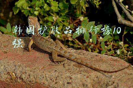 韩国护肤品排行榜10强