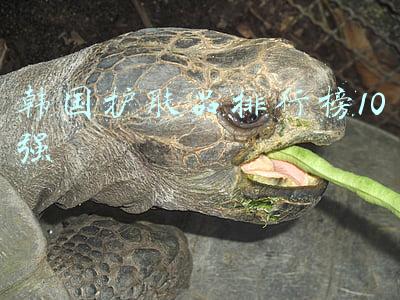 韩国护肤品排行榜10强