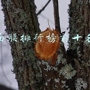 面膜排行榜前十名国产(中国最热销十大品牌面膜排行榜)