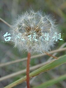 台风核潜艇