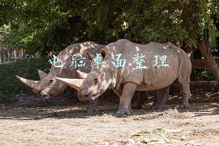 电脑桌面整理