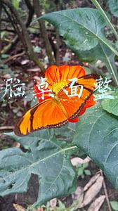 电脑桌面整理