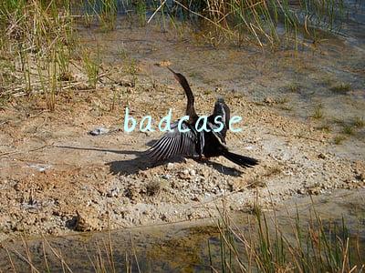 badcase