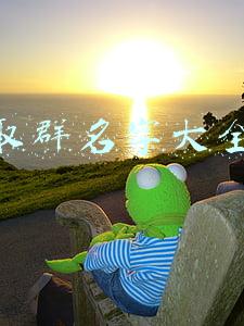 取群名字大全幽默(沙雕搞笑群名)