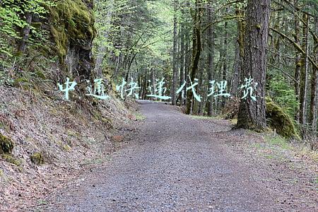 中通快递代理费