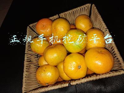 正规手机挖矿平台