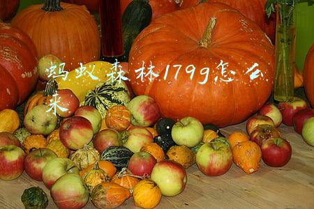 蚂蚁森林179g怎么来