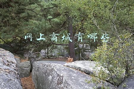 网上商城有哪些