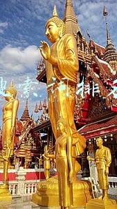 搜索词排名