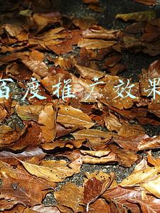 百度推广效果好吗(百度广告营销靠谱吗？百度营销有什么优势？)