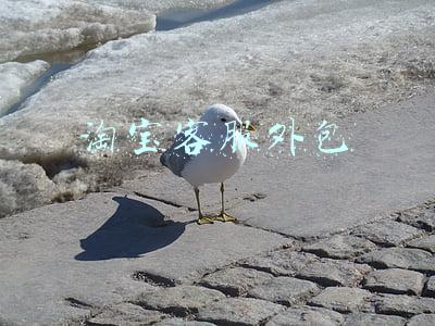 淘宝客服外包