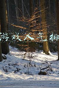 网络游戏人气排行榜