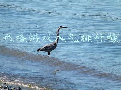 2022年网络游戏人气排行榜(七麦数据发布2022年2月热门游戏排行榜)