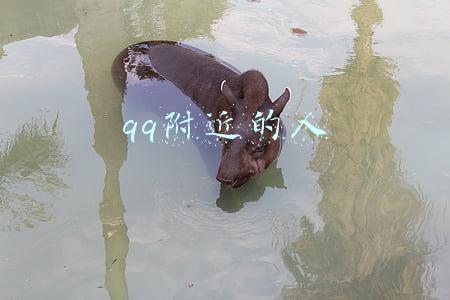 qq附近的人