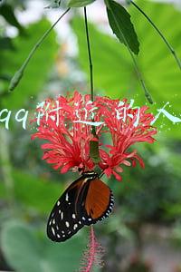 qq附近的人