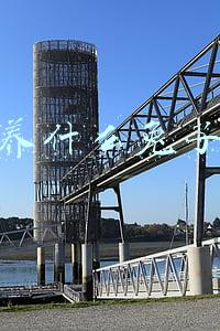 农村养什么兔子赚钱