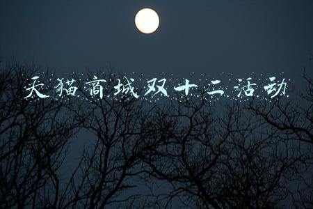 天猫商城双十二活动