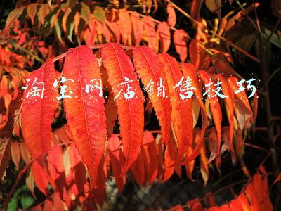 淘宝网店销售技巧