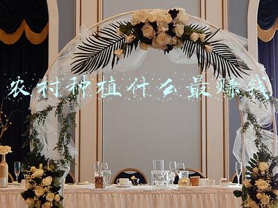 农村种植什么最赚钱