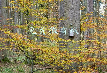 免费微商城