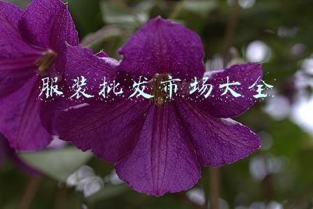 服装批发市场大全