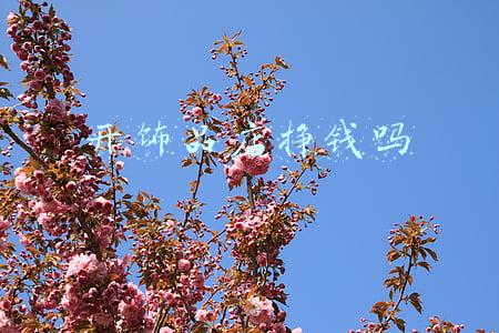 开饰品店赚钱吗(开精品店一般能赚钱吗？怎么做能赚钱？)