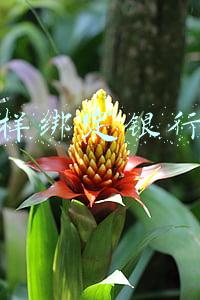怎样绑定银行卡