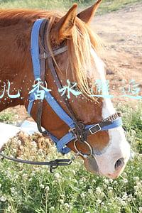 香奈儿香水邂逅系列