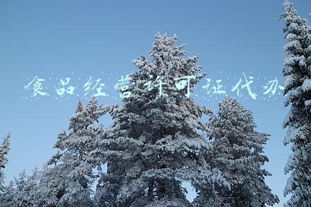 淡水食品经营许可证代办(罚没金额203.43万元！博罗市场监督局公布食品违法案例)