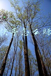 玩快手怎么赚钱
