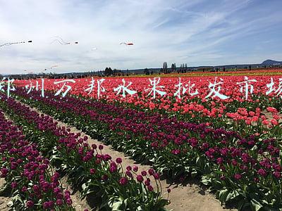郑州万邦水果批发市场