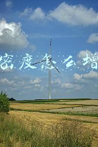 亲密度怎么增加