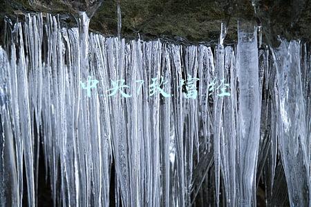 中央7致富经