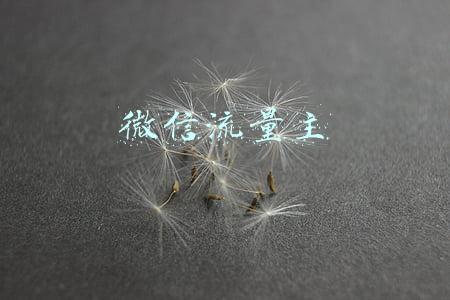 微信流量主开通条件(成为公众号流量主，为了这个目标总要花点时间)