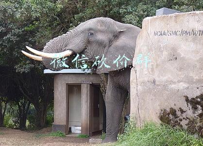 微信砍价群