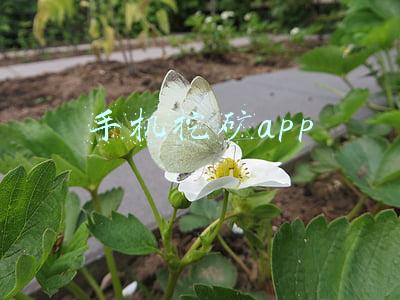 虚拟货币手机挖矿app(直通部委｜发改委：全面整治虚拟货币“挖矿”活动 工信部：已下架540款拒不整改APP)