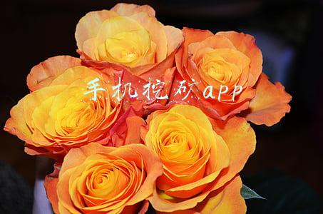 手机挖矿app
