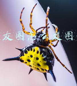 朋友圈怎么发图片