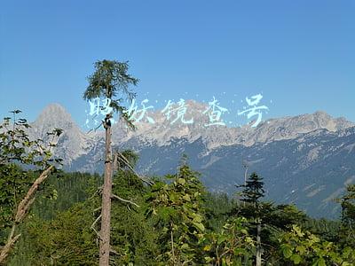 照妖镜查号