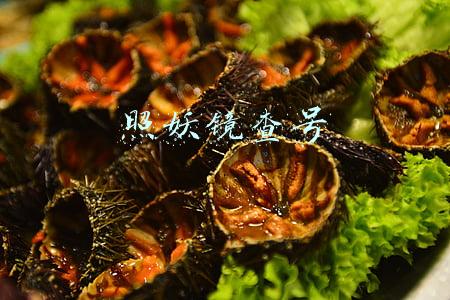 照妖镜查号