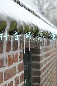抖音用户量