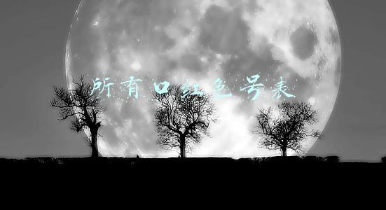 所有口红色号表