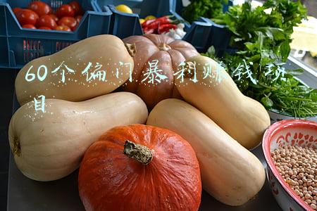60个偏门暴利赚钱项目