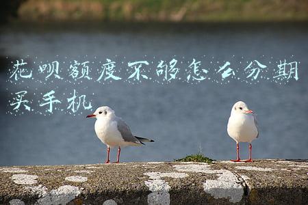 花呗额度不够怎么分期买手机